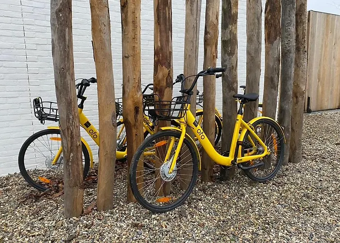 Daire Stijlvol Met Veranda! Tuynloodz A *